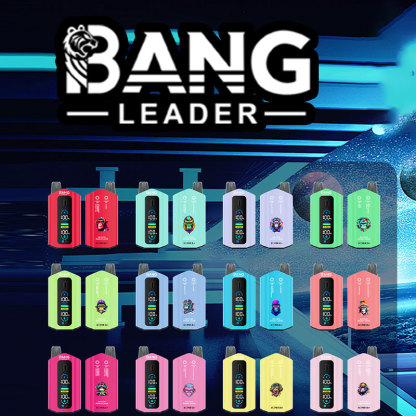Bang Leader 50000 Puffs 2 In1 Switch Flavors Disposable Vape