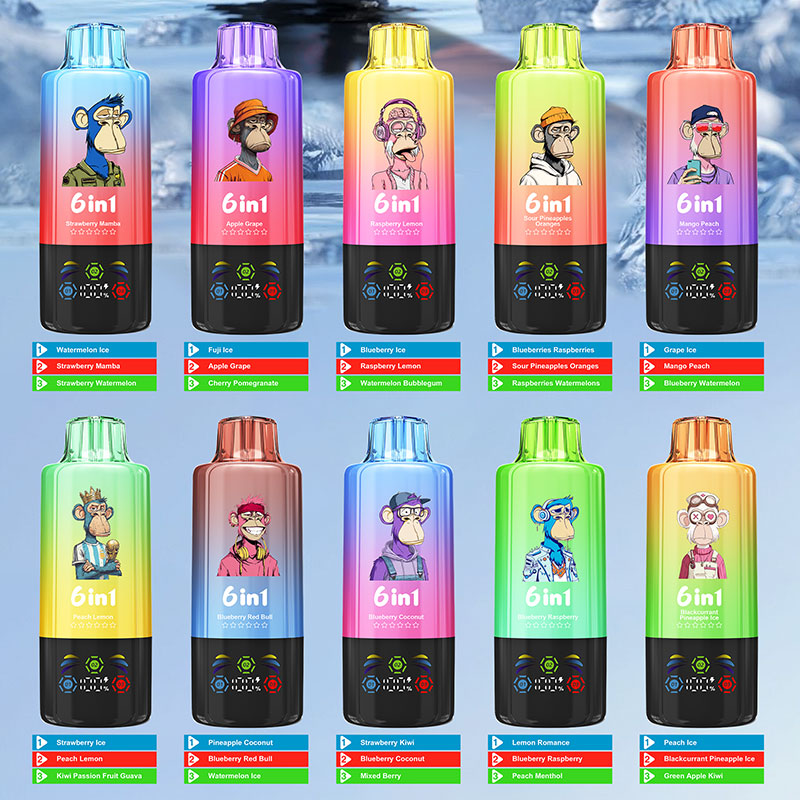 Bang Leader 110000 Puffs 6 in 1 Flavors Rechargeable Disposable Vape