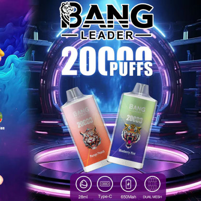 Bang Leader 20000 Puffs TypeC Rechargeable Disposable Vape