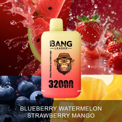 Bang Leader 32000 32k Puffs 0% 2% 3% 5% Nicotine Double Taste Disposable Vape(10 pcs)