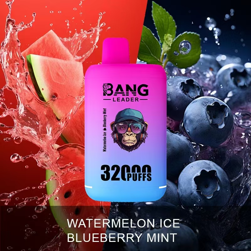 Bang Leader 32000 32k Puffs 0% 2% 3% 5% Nicotine Double Taste Disposable Vape(10 pcs)