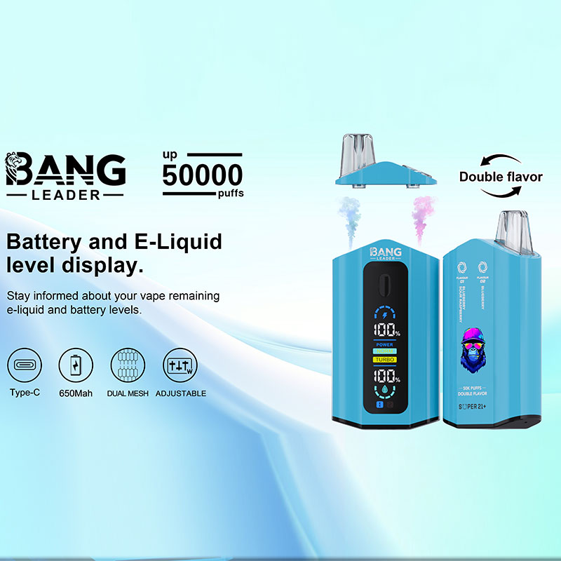Bang Leader 50000 Puffs 2 In1 Switch Flavors Disposable Vape