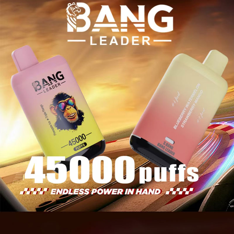 Bang Leader 45000 Puffs Double Flavors LED Display Disposable Vape
