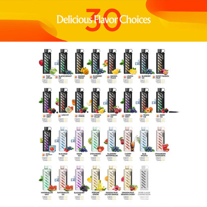 VOZOL Gear Shisia 25000K Puffs Dual Mode Disposable Vape