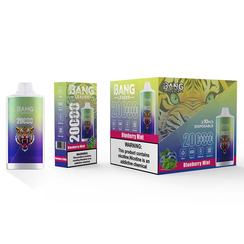 Bang Leader 20000 Puffs TypeC Rechargeable Disposable Vape