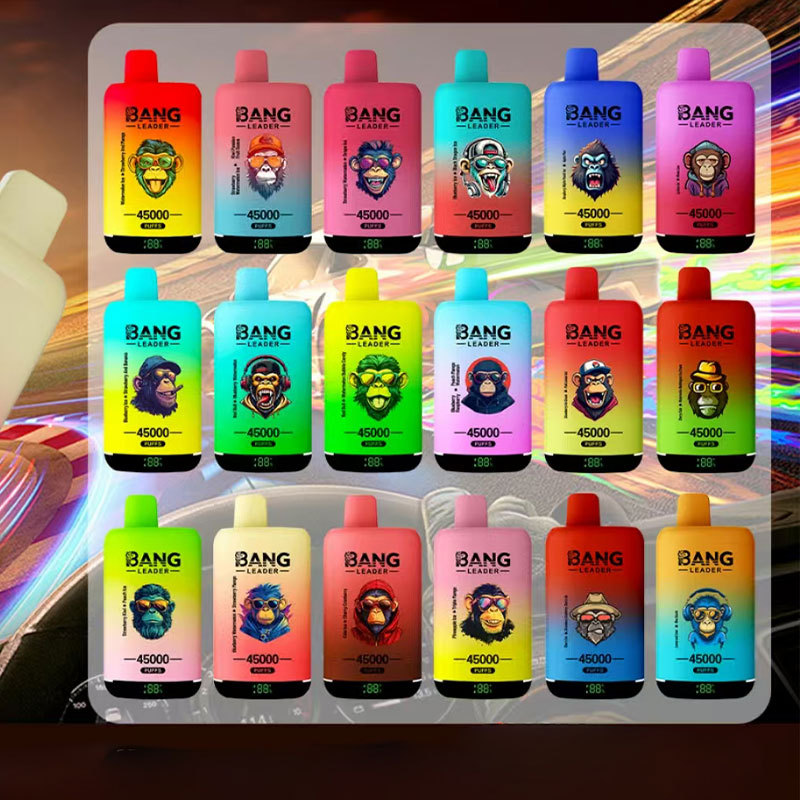 Bang Leader 45000 Puffs Double Flavors LED Display Disposable Vape