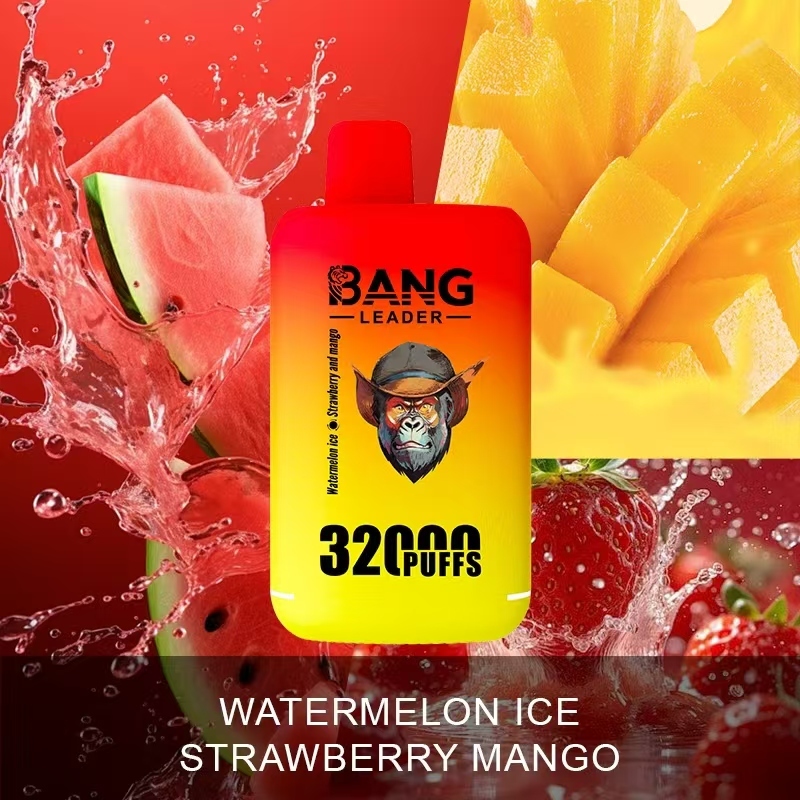 Bang Leader 32000 32k Puffs 0% 2% 3% 5% Nicotine Double Taste Disposable Vape(10 pcs)