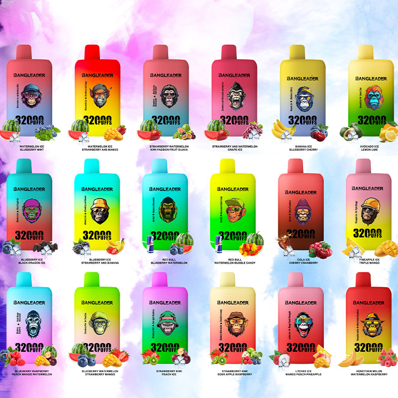 Bang Leader 32000 Puffs Portable Double Flavors Disposable Vape