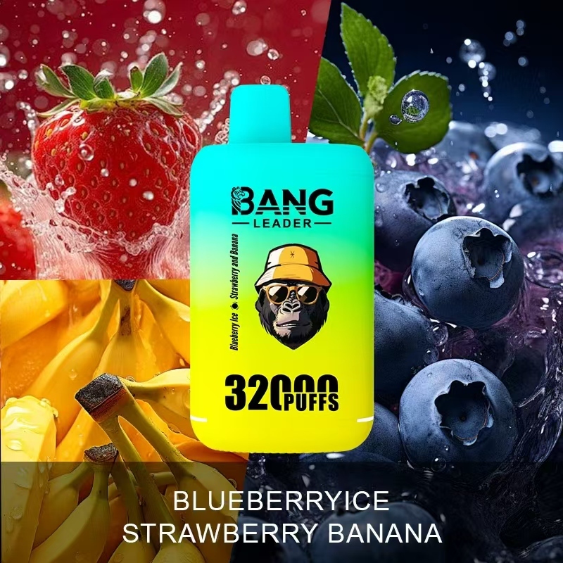 Bang Leader 32000 32k Puffs 0% 2% 3% 5% Nicotine Double Taste Disposable Vape(10 pcs)