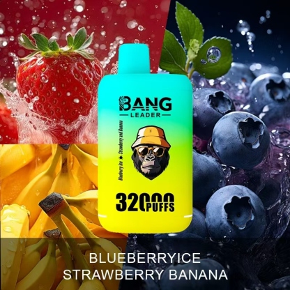 Bang Leader 32000 32k Puffs 0% 2% 3% 5% Nicotine Double Taste Disposable Vape(10 pcs)