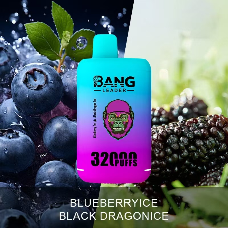 Bang Leader 32000 32k Puffs 0% 2% 3% 5% Nicotine Double Taste Disposable Vape(10 pcs)