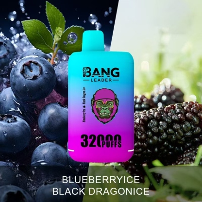 Bang Leader 32000 32k Puffs 0% 2% 3% 5% Nicotine Double Taste Disposable Vape(10 pcs)