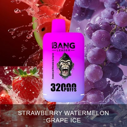Bang Leader 32000 32k Puffs 0% 2% 3% 5% Nicotine Double Taste Disposable Vape(10 pcs)
