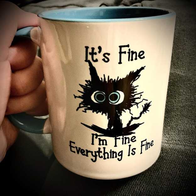It's Fine I'm Fine Everything Is Fine Mug | WSMug10