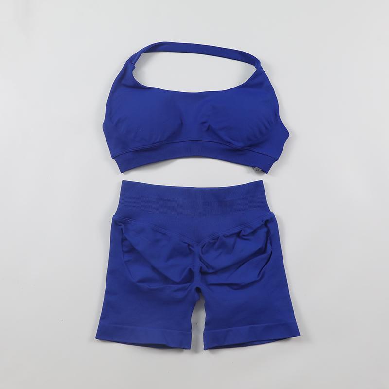 2Pcs Impact Shorts Sets Seamless Yoga Set 