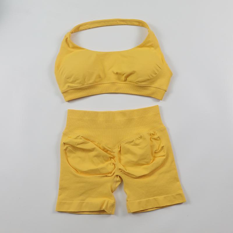 2Pcs Impact Shorts Sets Seamless Yoga Set 