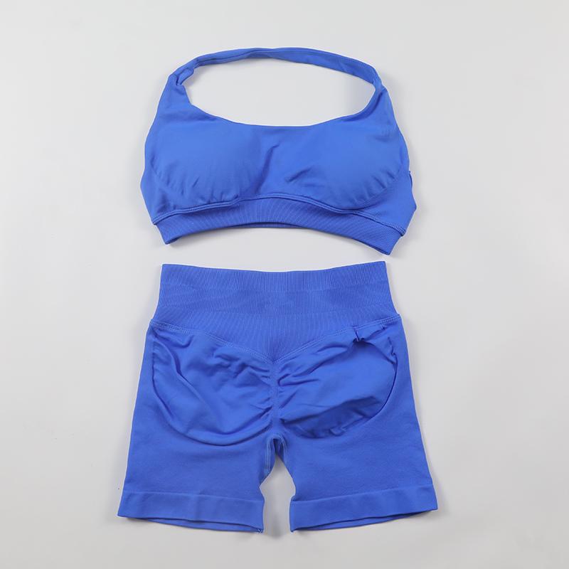 2Pcs Impact Shorts Sets Seamless Yoga Set 