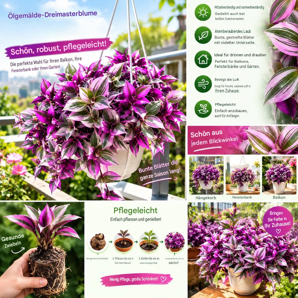Ölgemälde Tradescantia-Zwiebeln