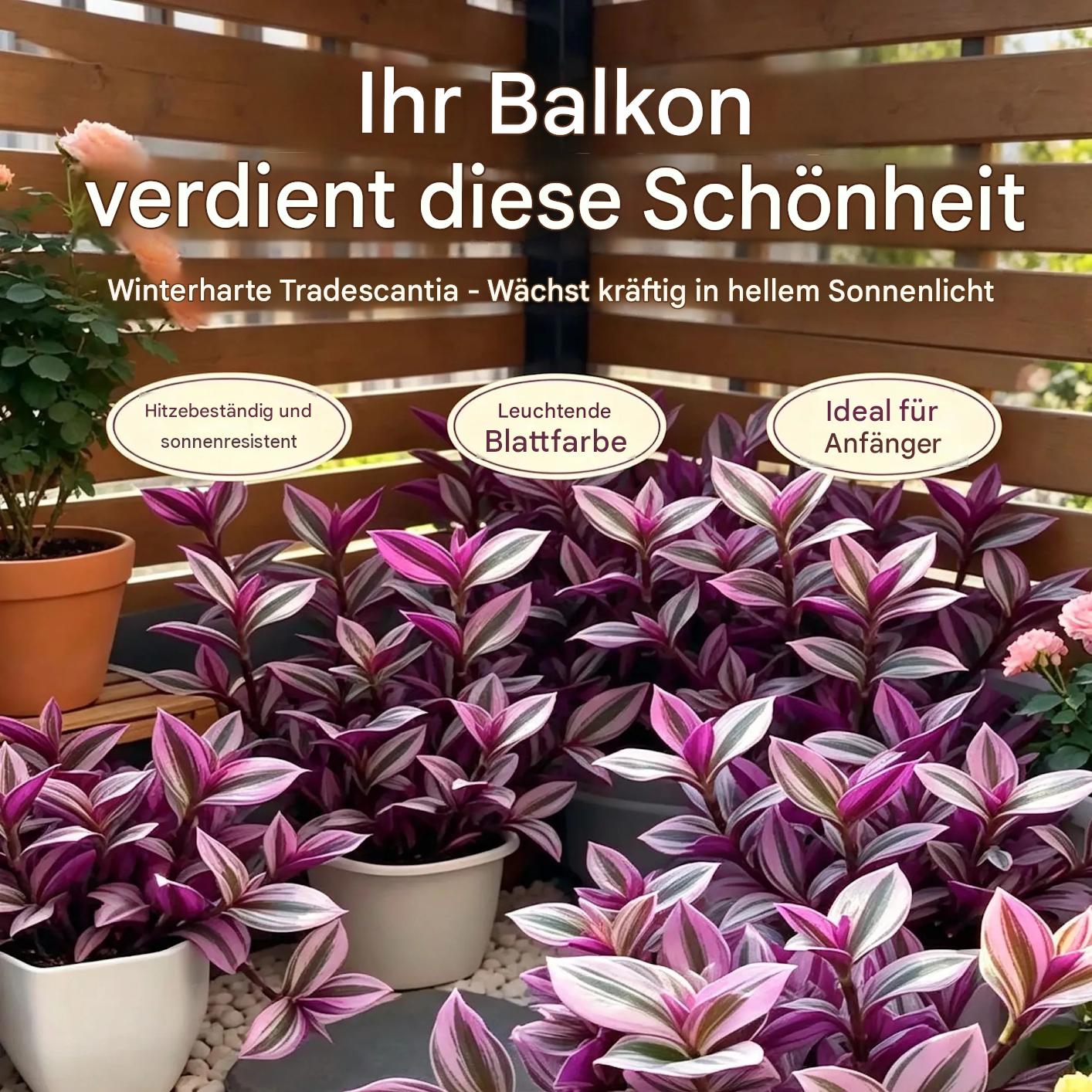 Ölgemälde Tradescantia-Zwiebeln