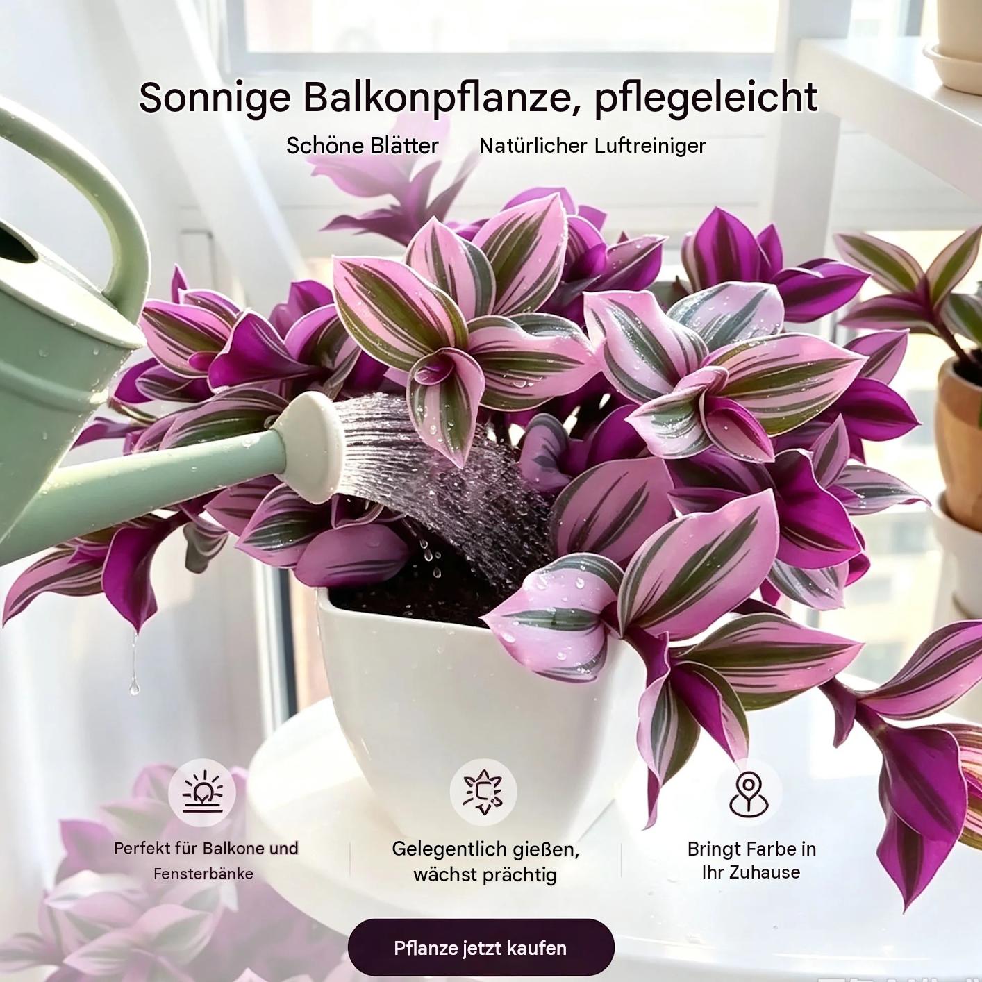 Ölgemälde Tradescantia-Zwiebeln