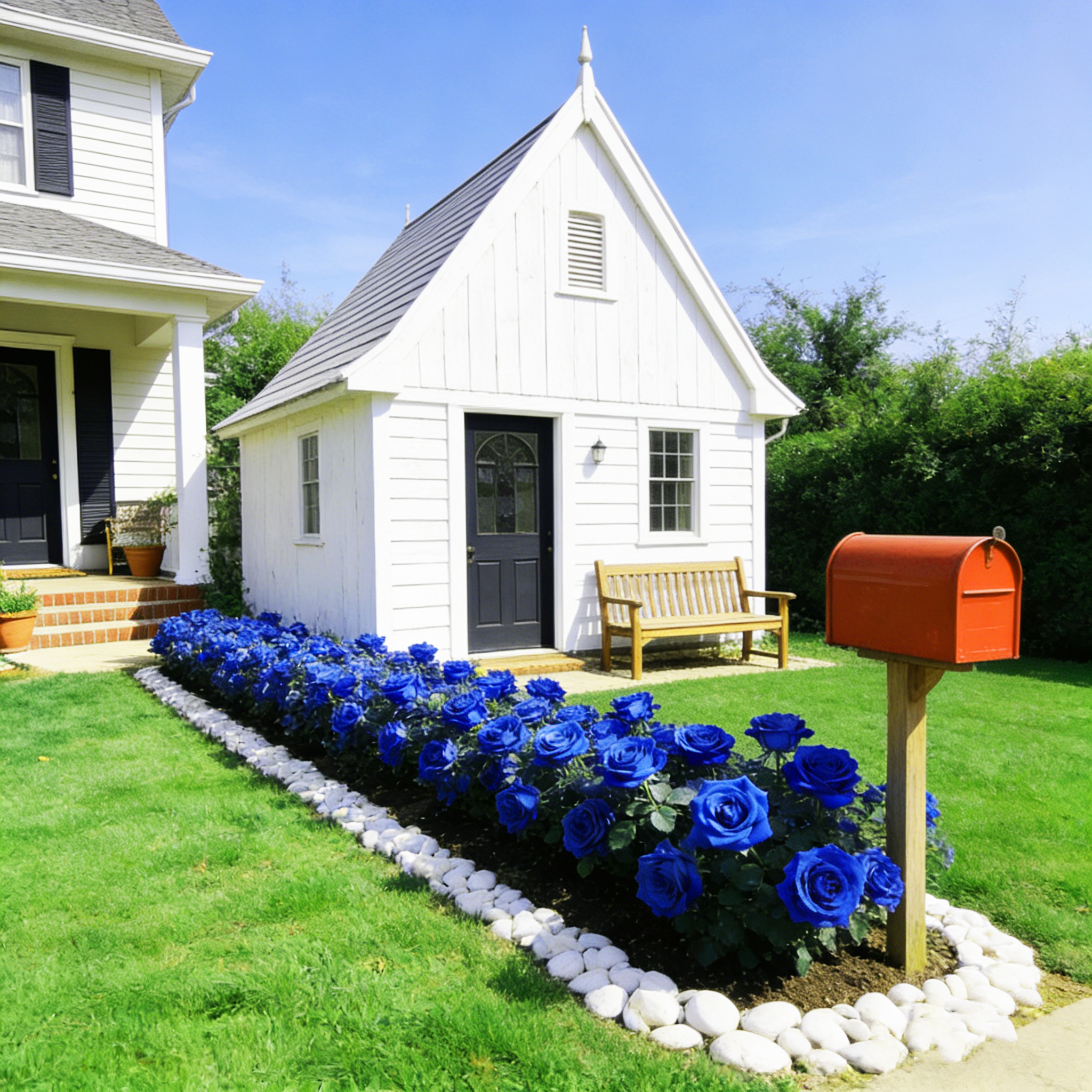 🌹Seltene, traditionelle blaue Rosensamen