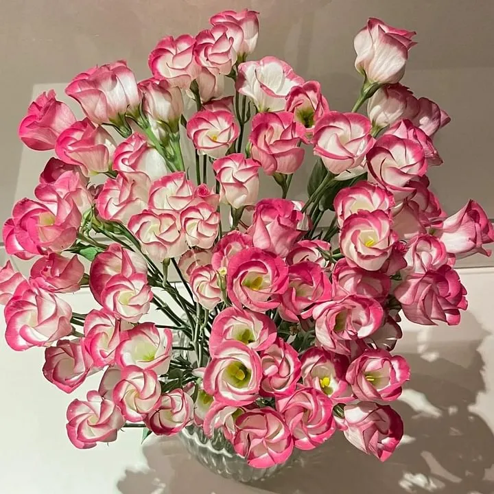 🌺LISIANTHUS – AUFRICHTIGE LIEBE