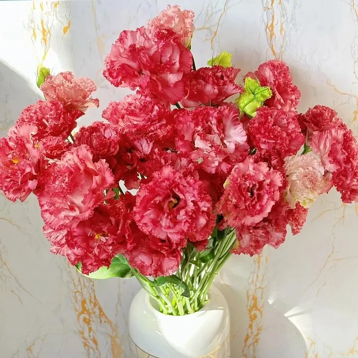 🌺LISIANTHUS – AUFRICHTIGE LIEBE