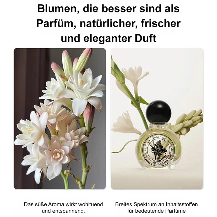 🌺 【Duft verbreitet sich weit】Tuberose-Zwiebelblume
