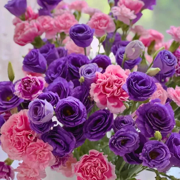 🌺LISIANTHUS – AUFRICHTIGE LIEBE