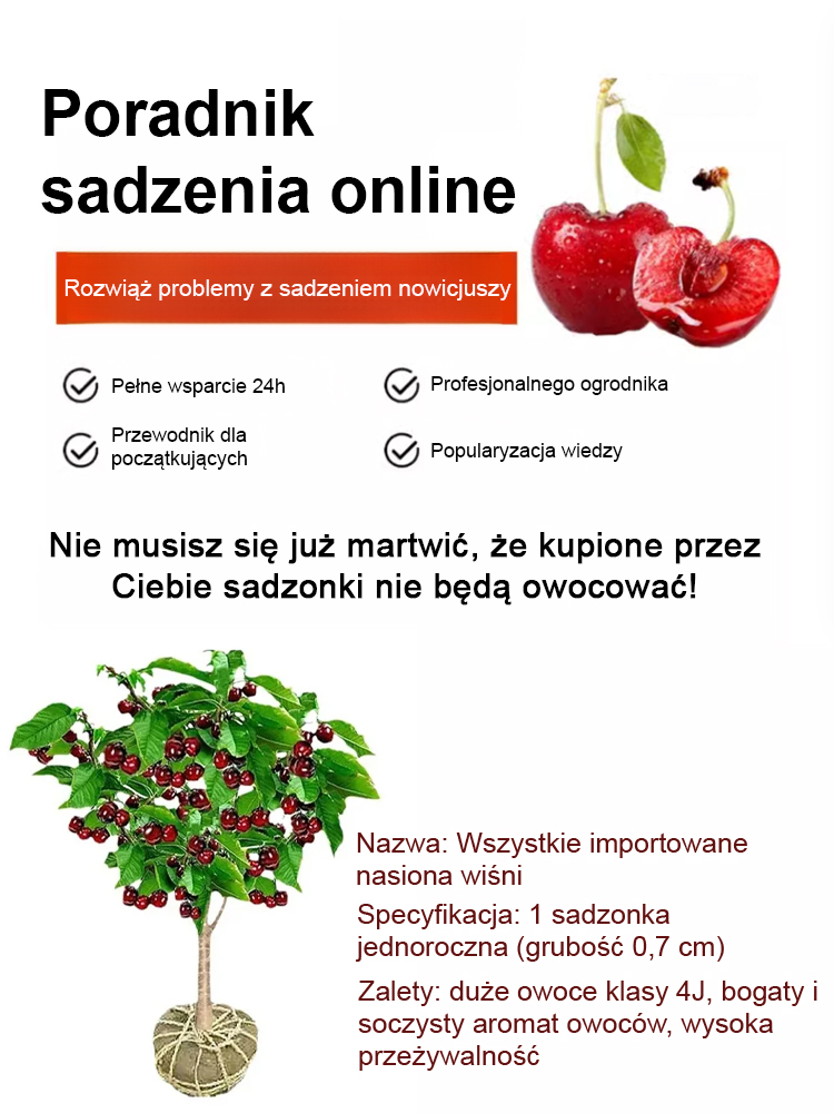 🍒🌱[Pełny zwrot pieniędzy w przypadku niepowodzenia] Sadzonki wiśni, które owocują w tym samym roku