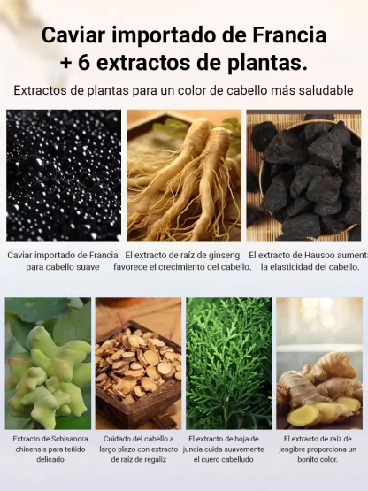 Tinte para el cabello con proteína de caviar Phytvas
