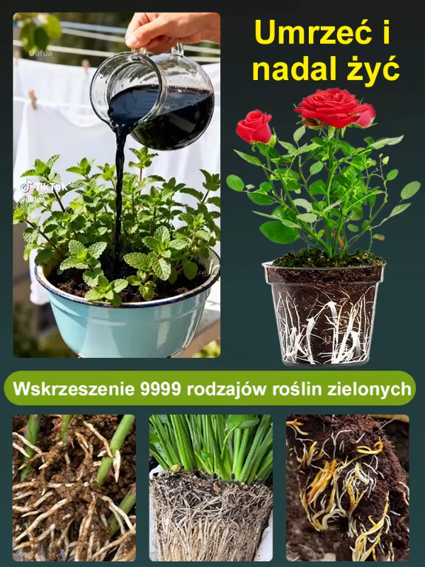 👍Aktywator składników odżywczych gleby – można go ożywić nawet po śmierci