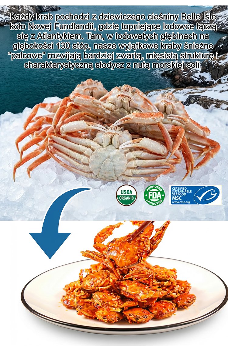 波兰_02.jpg