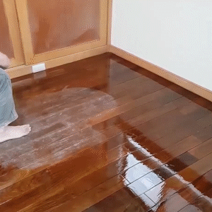 10.gif
