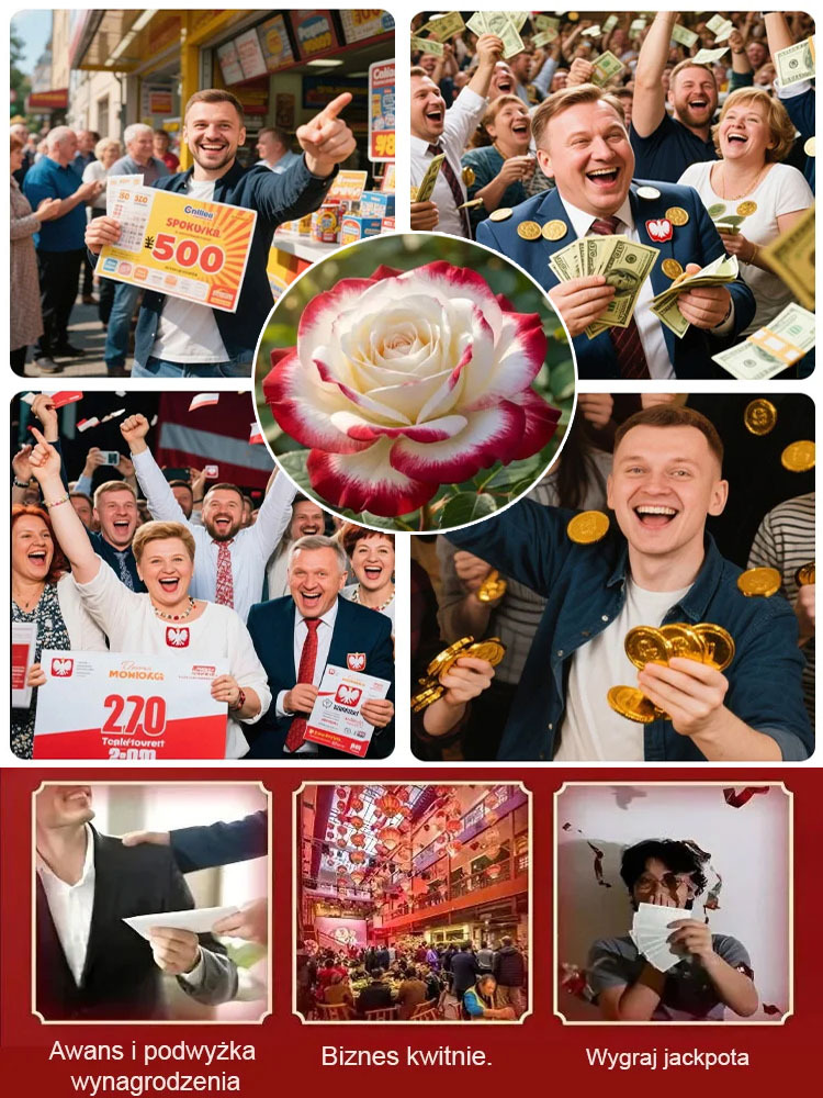 🌹🌹Kolorowe nasiona róży