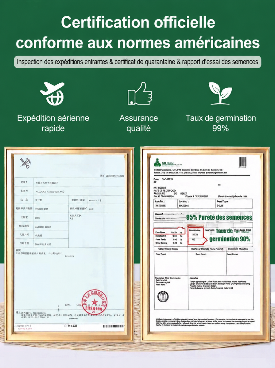 详情图7.png