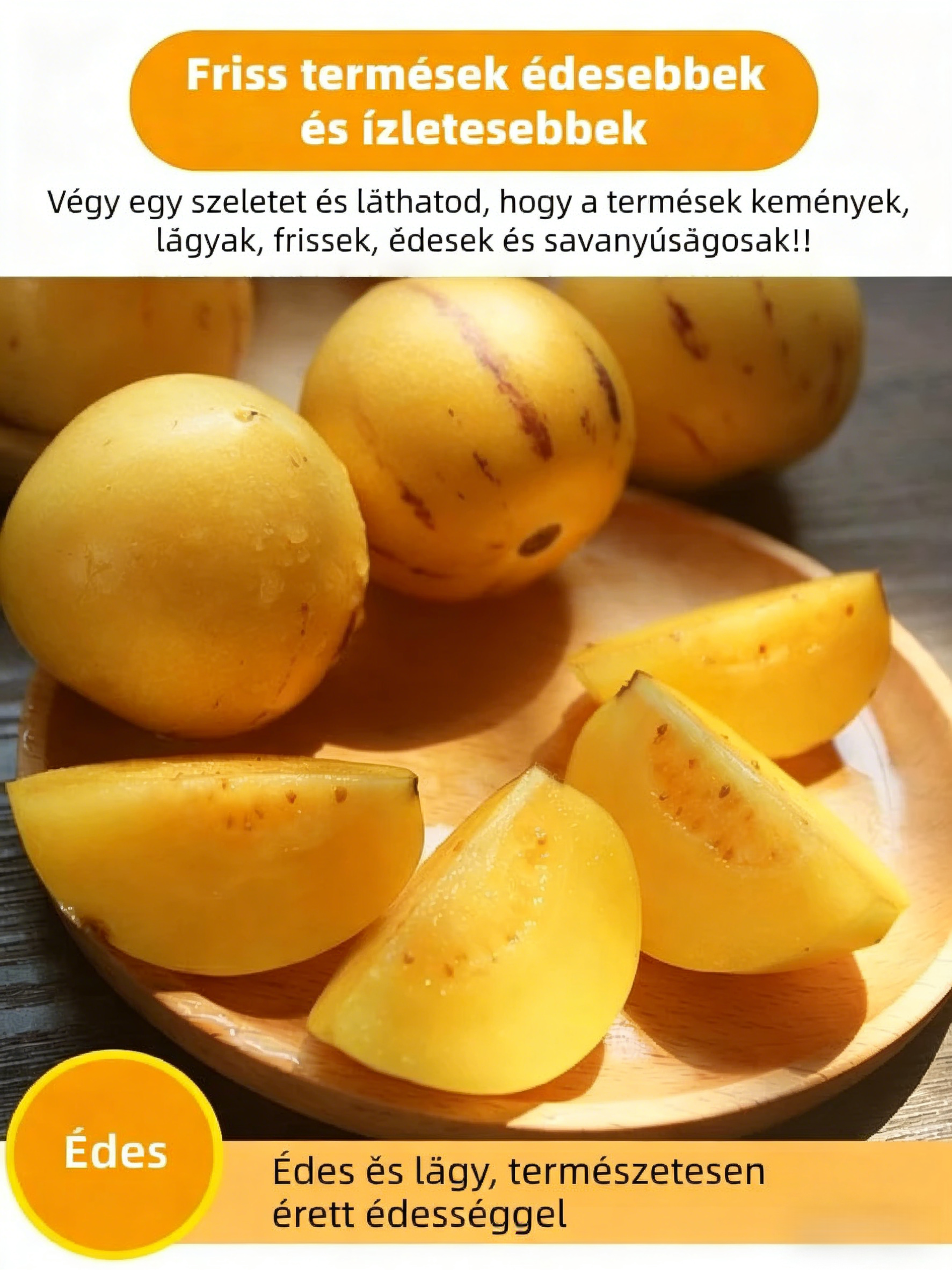 🌿Ginzeng magok - könnyen termeszthető🌱