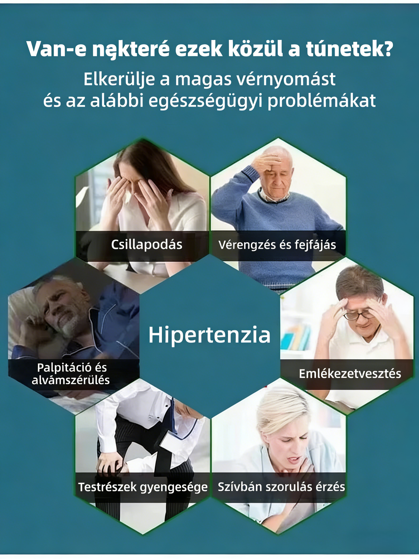 🌿Ginzeng magok - könnyen termeszthető🌱