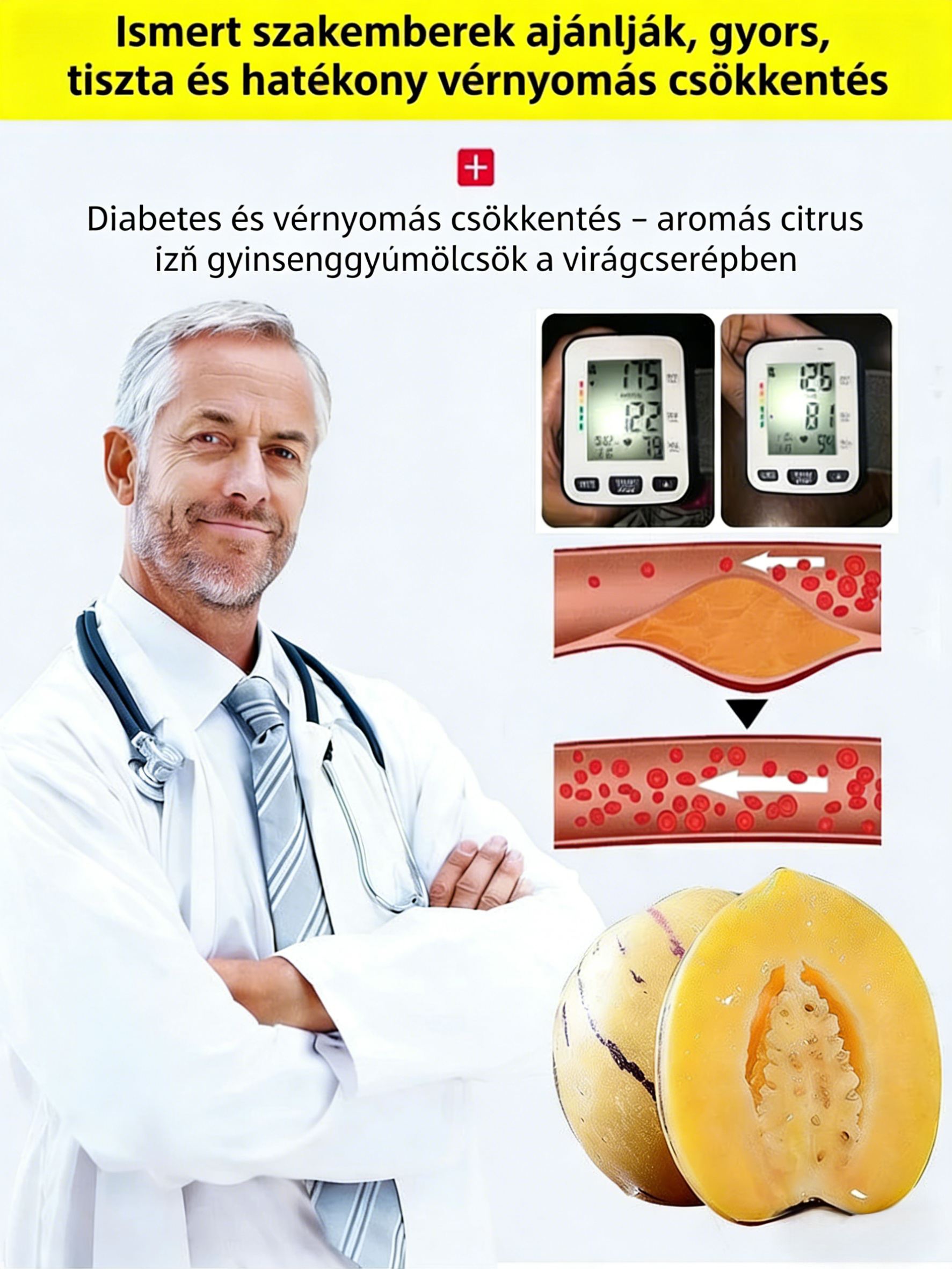 🌿Ginzeng magok - könnyen termeszthető🌱