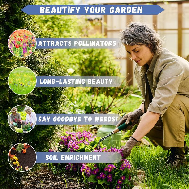 🍒 (Új szüret) Cseresznyemagok 🌿Előkezelve a magas csírázási arányért (99%-os csírázási arány)