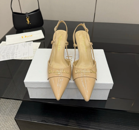 Dior Ladies Shoes