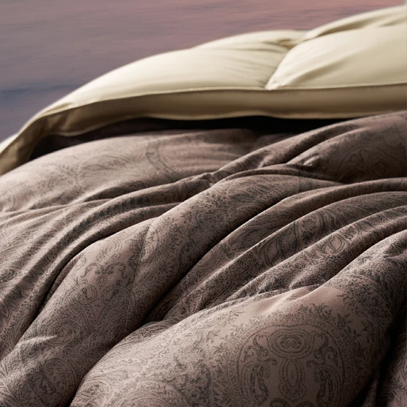 Lanzamiento de nuevo producto