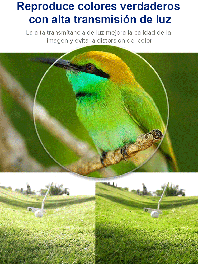 Las gafas que te acompañarán toda la vida: Ultraligeras y con autoenfoque