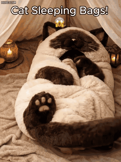 Kuscheliger Katzenschlafsack für Erwachsene