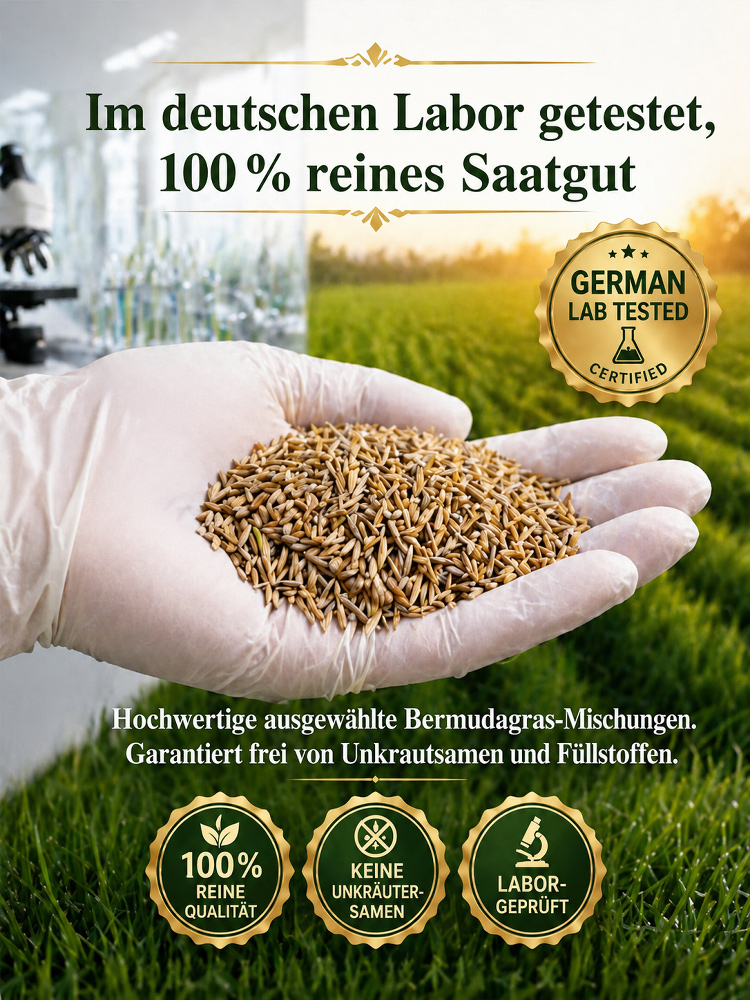 Premium Vier-Jahreszeiten Rasensamen (7 Tage 99% Keimung) – Selbstheilend & Dicht