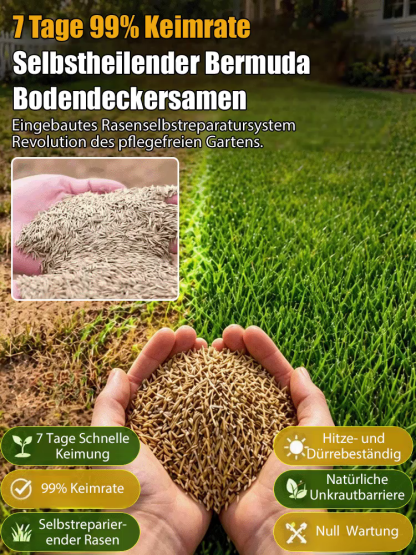 Premium Vier-Jahreszeiten Rasensamen (7 Tage 99% Keimung) – Selbstheilend & Dicht