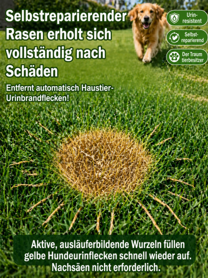 Premium Vier-Jahreszeiten Rasensamen (7 Tage 99% Keimung) – Selbstheilend & Dicht