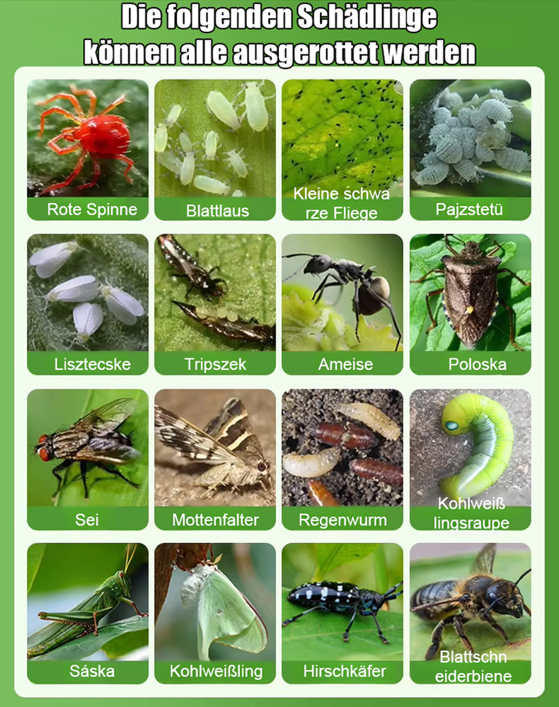 【Keimrate um 30% erhöht】Neu aufgerüstetes Gartenbau-Substrat für den Heimgebrauch