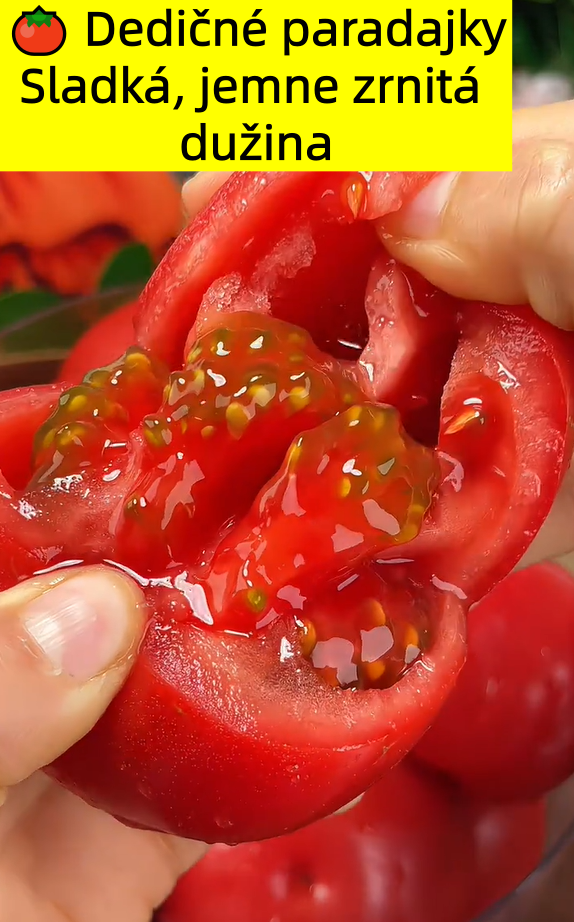 🍅 Dedičné paradajky so šťavnatou jemne zrnitou dužinou — chuť leta ako kedysi 🌿