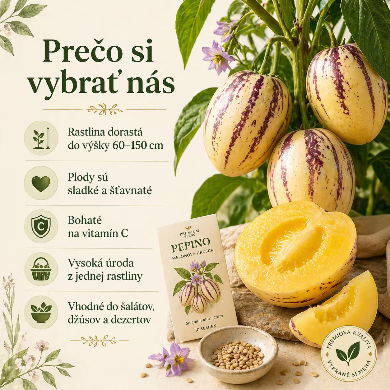 🌿Semená plodu ženšenu – jednoduché na pestovanie🌱(50 tabliet/balenie)